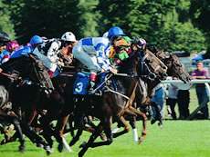 Racing at Ascot