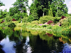 The Savill Garden